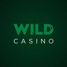 Complete Evaluation of Wild Casino